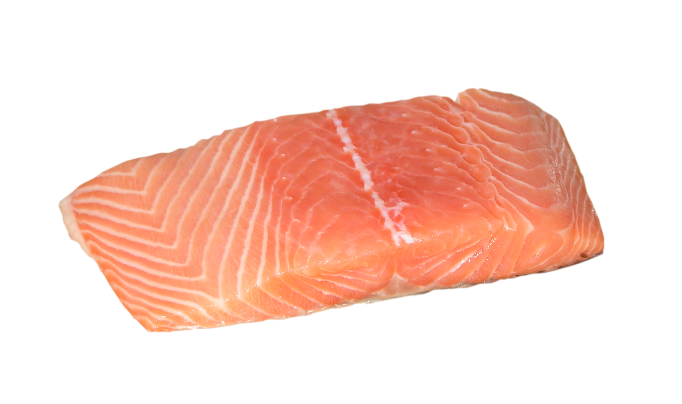 Can Bearded Dragons Eat Fish?