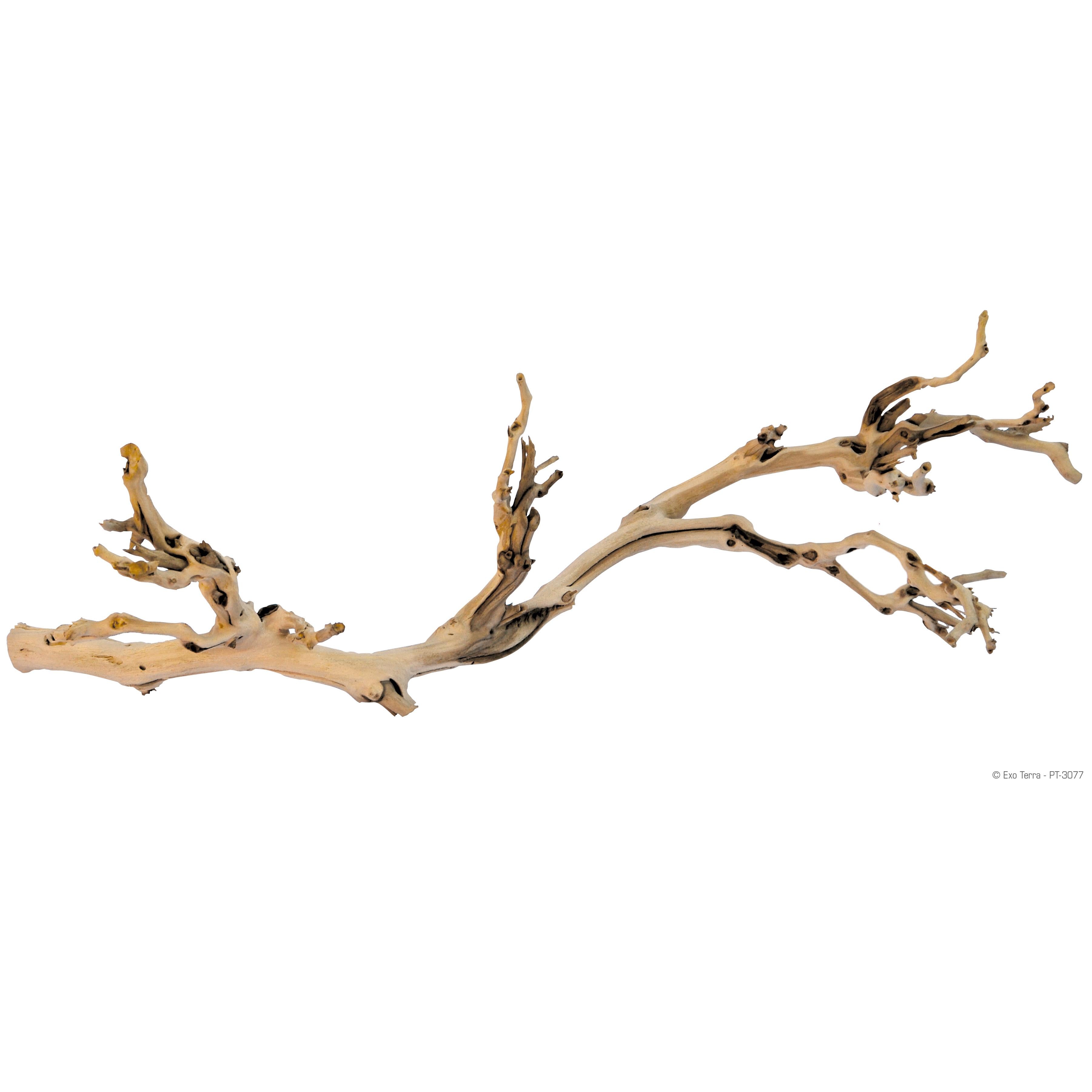 Exo Terra Forest Branch Large
