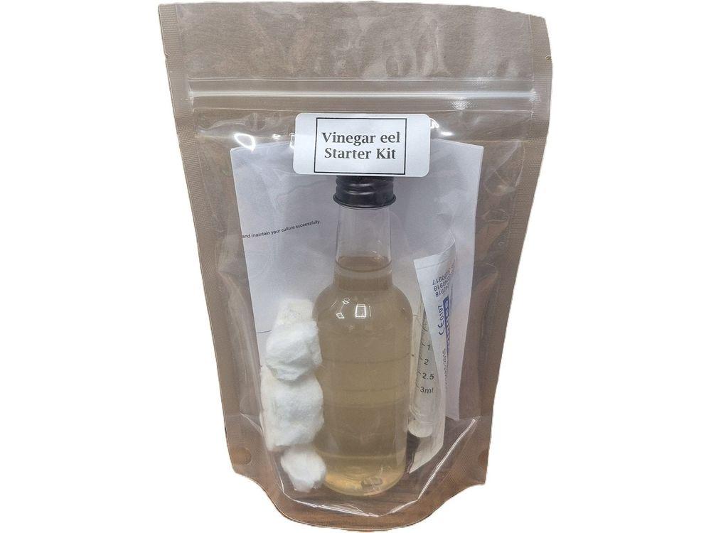 Live Vinegar Eels Culture Kit