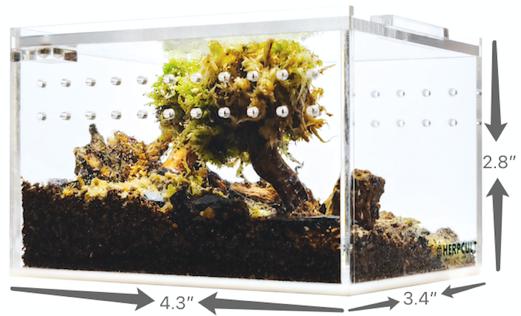Herpcult Acrylic Enclosure Mini-Flat 4.3"x3.4"x2.8" Herpcult