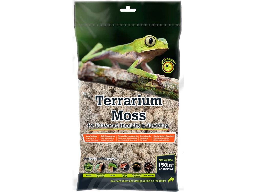 Galapagos Reindeer Moss, 150 in³ Galapagos