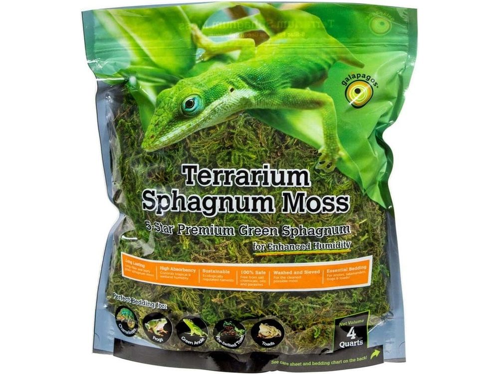Galapagos Green Sphagnum Moss, 4qt Galapagos