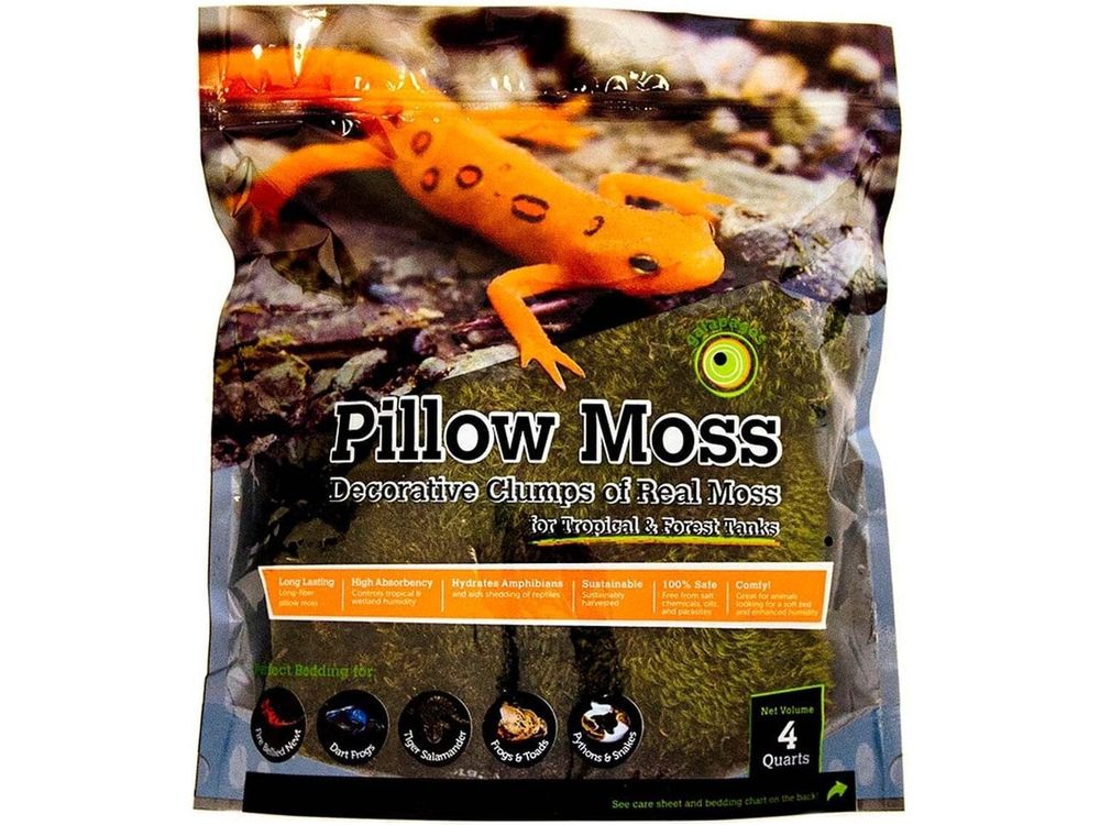 Galapagos Pillow Moss, 4qt Galapagos