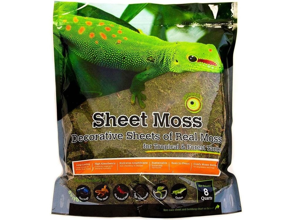 Galapagos Sheet Moss, 8qt Galapagos