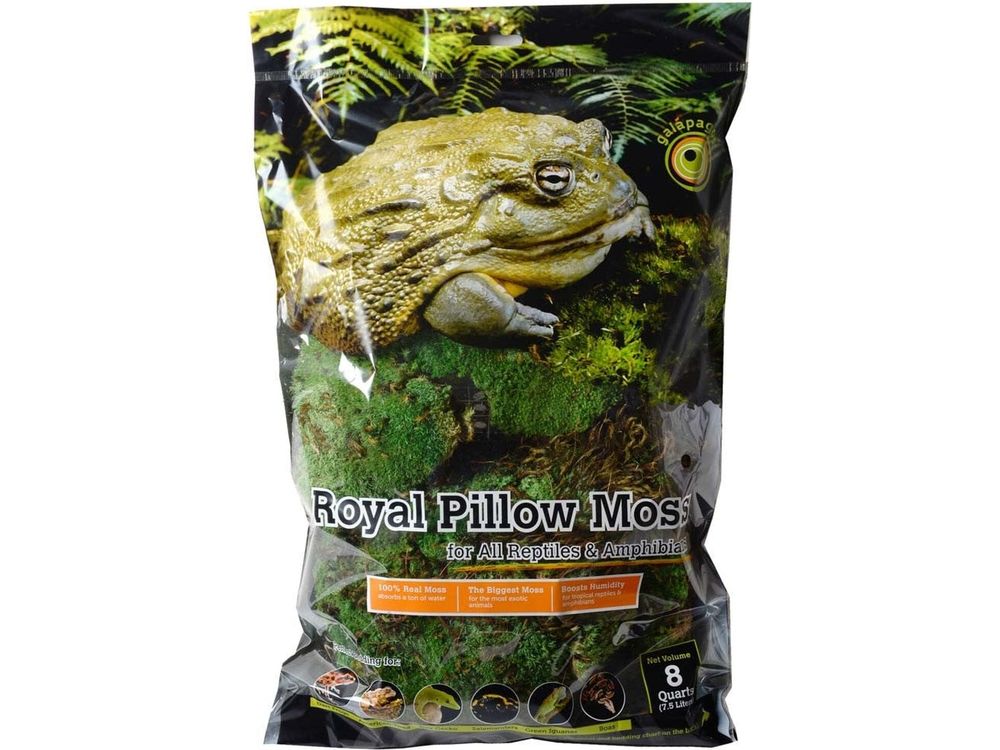 Galapagos Royal Pillow Moss, 8qt Galapagos