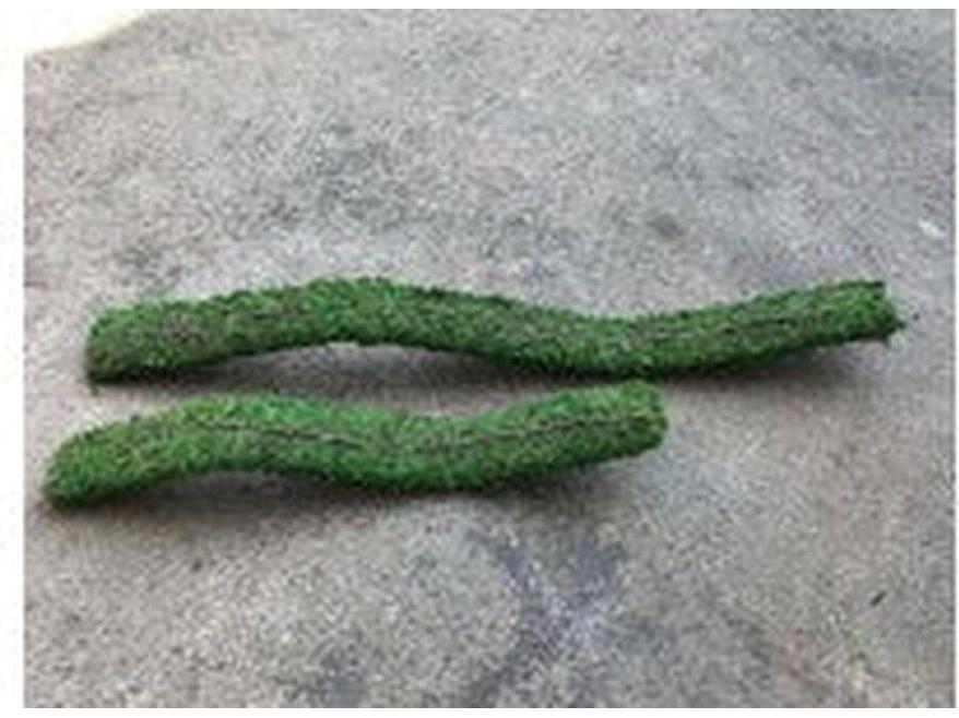 Galapagos Flexible Bridge, 24" (Fresh Green) Galapagos