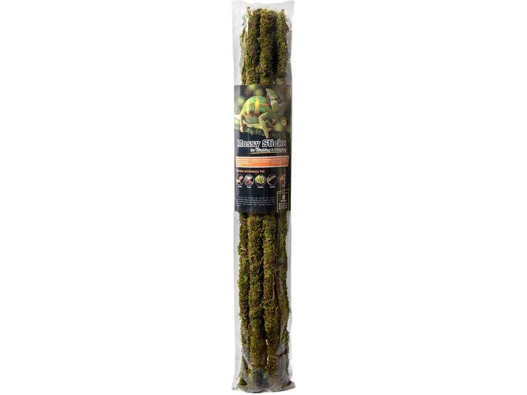 Galapagos Mossy Sticks, 24" (6 pack) Galapagos