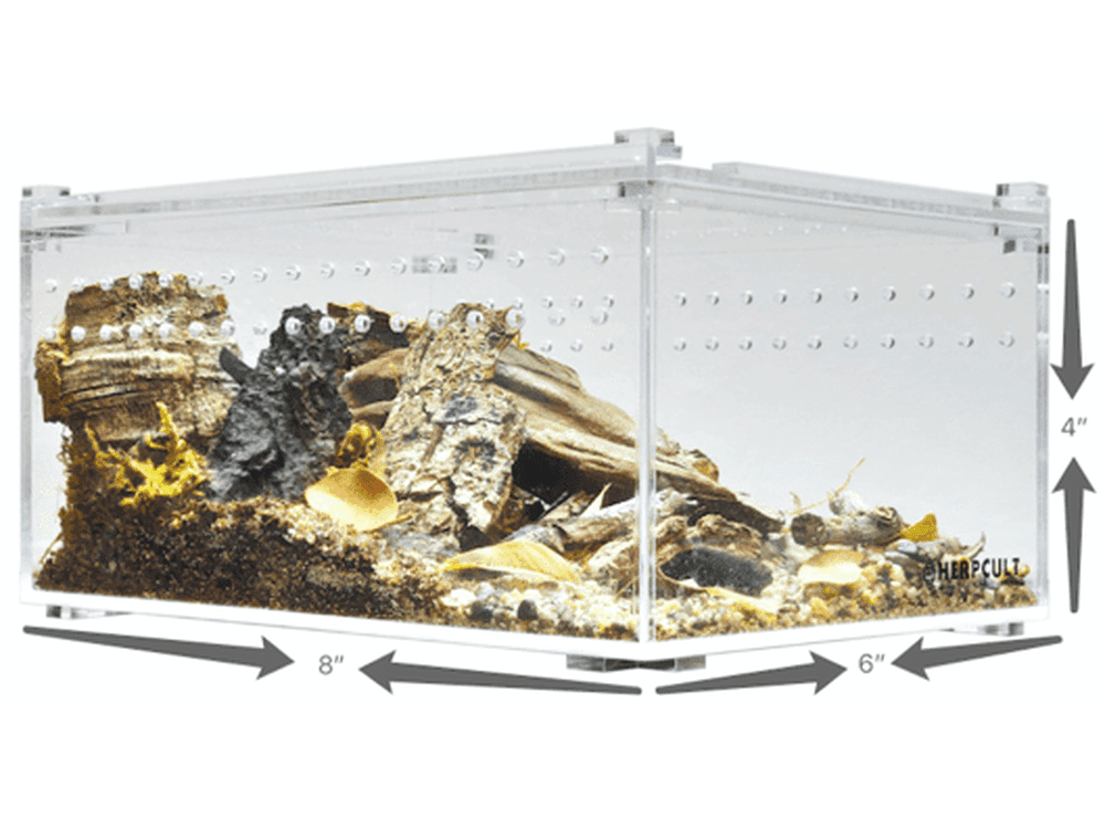 Herpcult Acrylic Enclosure Small-Flat 8"x6"x4" Herpcult