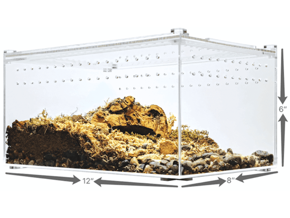 Herpcult Acrylic Enclosure Large-Flat Clear Top 12"x8"x6" Herpcult