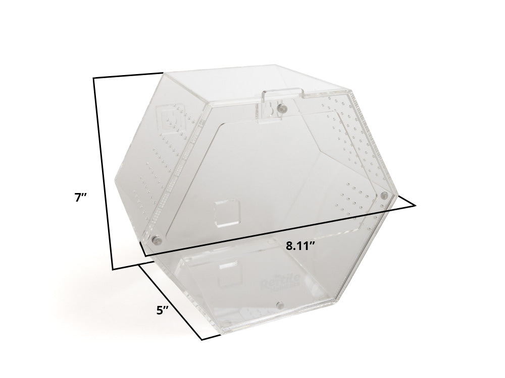 Acrylic Enclosure Hexagon (Medium)