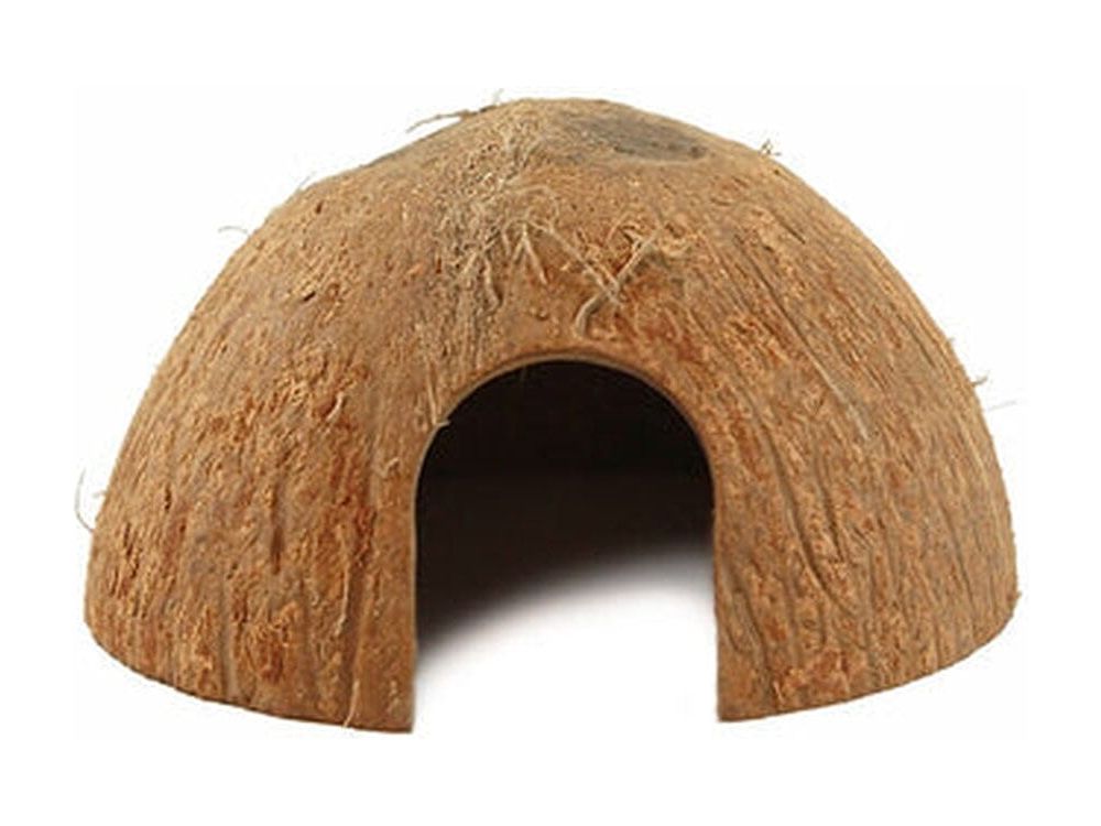 Pangea CocoHut Pangea