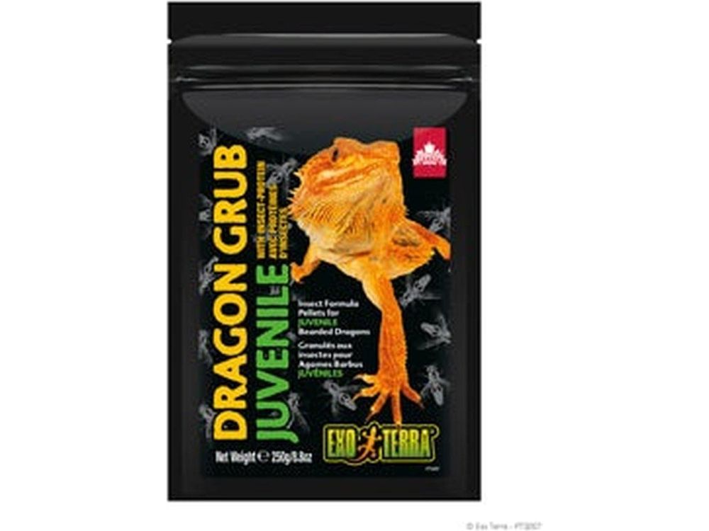 Exo Terra Dragon Grub Juvenile, 8.8oz Exo Terra