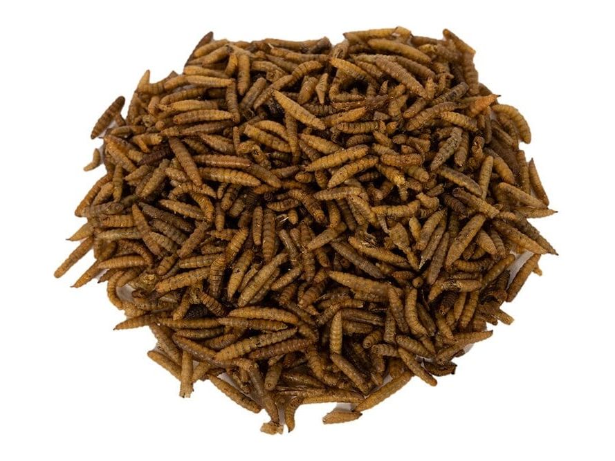 Dried NutriGrubs nutrigrubs DubiaRoaches.com
