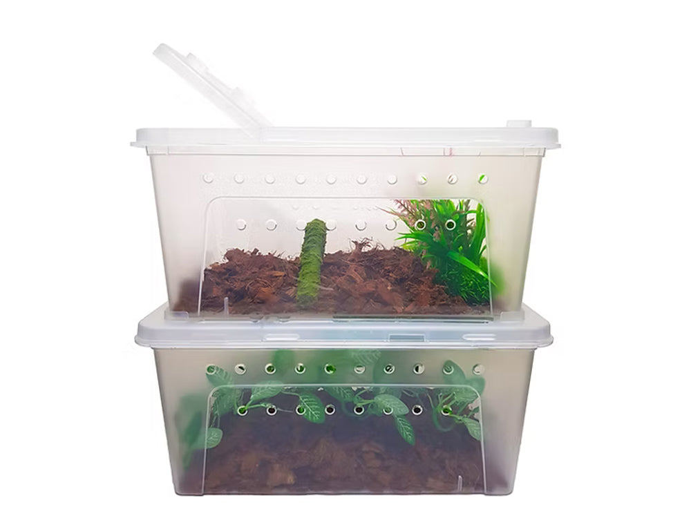 Herpcult Large Breeding Box Herpcult