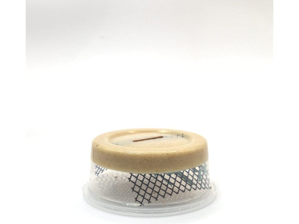 Hornworms Reptile & Amphibian Food Dubia.com