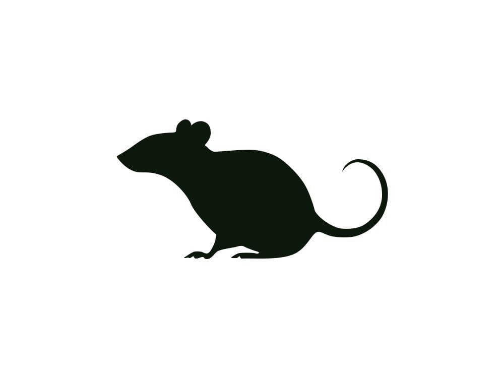 Rodents - Shipping Included