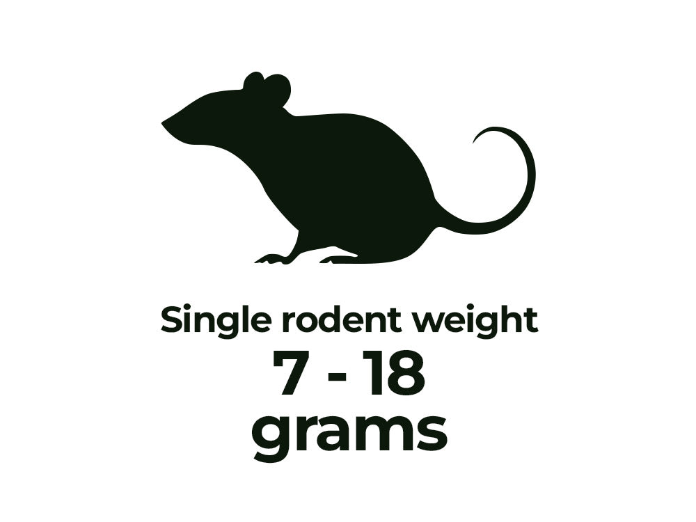 Rodents - Shipping Included