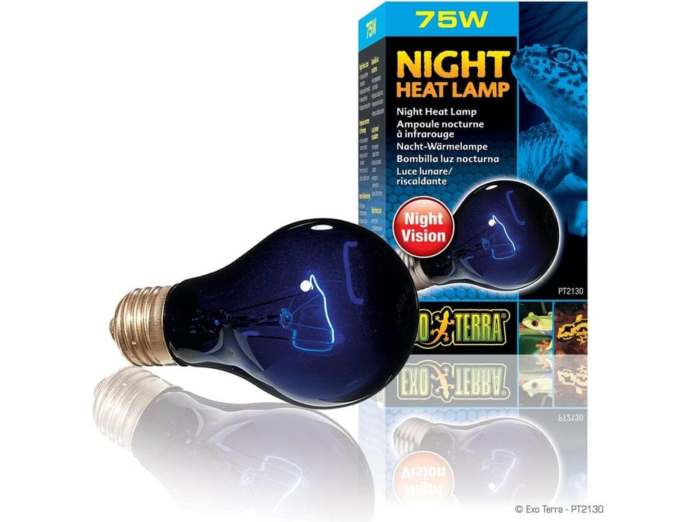 Exo Terra Night Heat Lamp, 75w Exo Terra