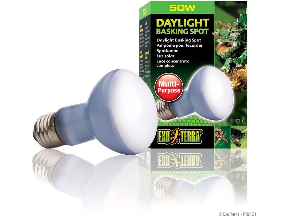 Exo Terra Daylight Basking Spot, 50w Exo Terra