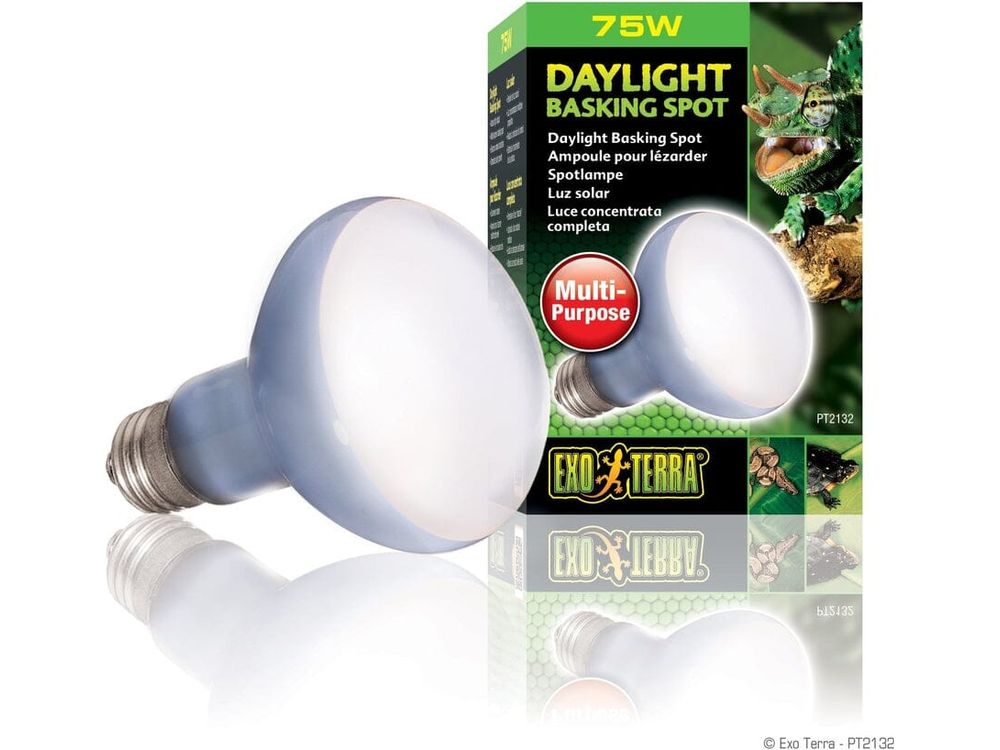 Exo Terra Daylight Basking Spot, 75w Exo Terra