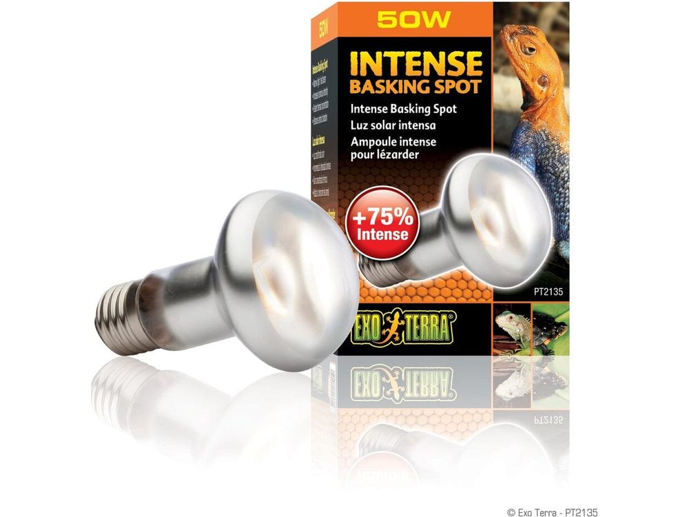 Exo Terra Intense Basking Spot, 50w Exo Terra