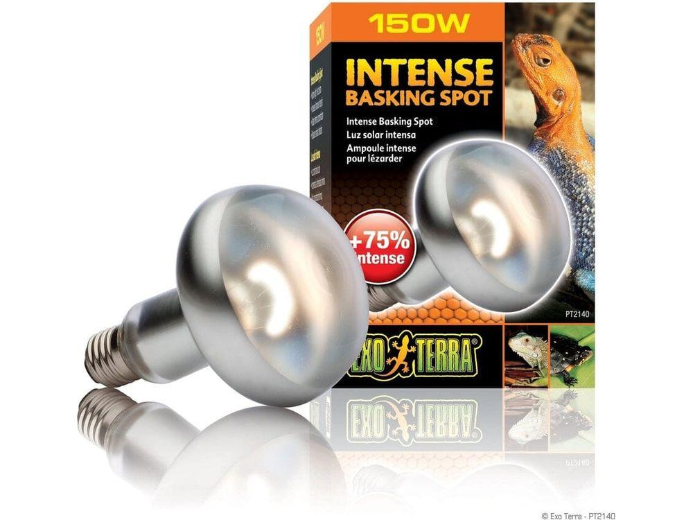 Exo Terra Intense Basking Spot, 150w Exo Terra