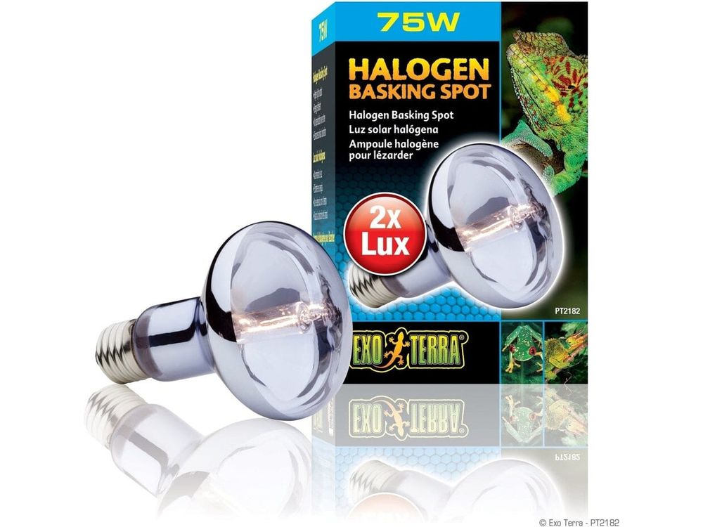 Exo Terra Halogen Basking Spot, 75w Exo Terra