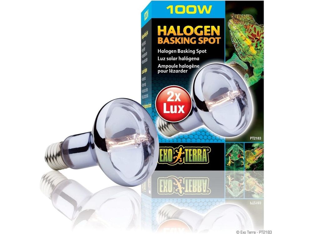 Exo Terra Halogen Basking Spot, 100w Exo Terra