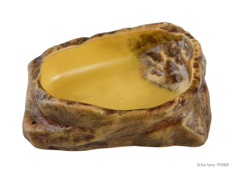 Exo Terra Water Dish Medium Exo Terra