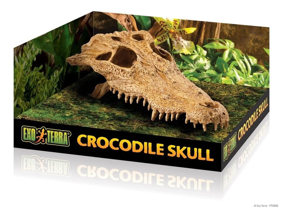 Exo Terra Crocodile Skull Exo Terra