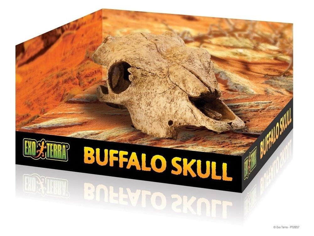 Exo Terra Buffalo Skull, Large Exo Terra