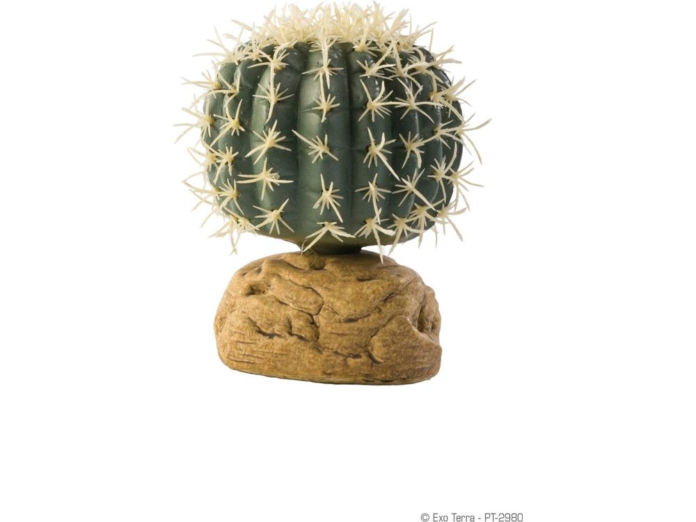 Exo Terra Barrel Cactus, Small Exo Terra
