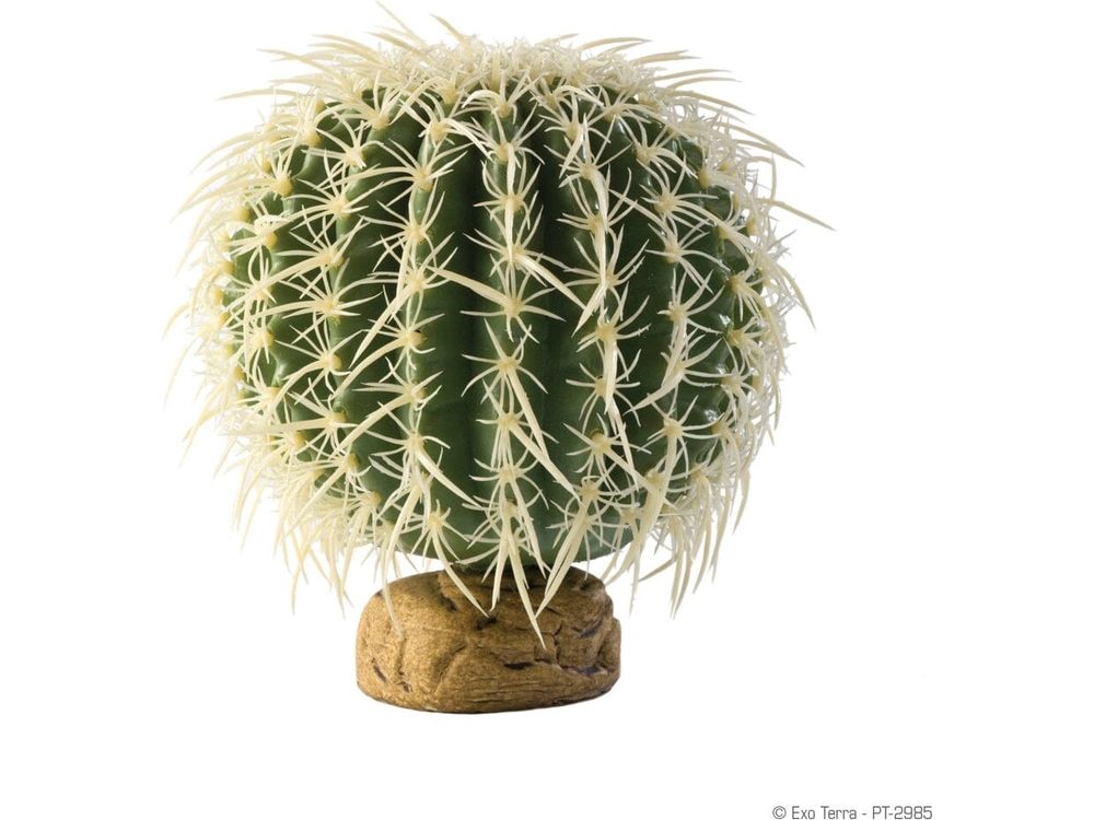 Exo Terra Barrel Cactus, Medium Exo Terra