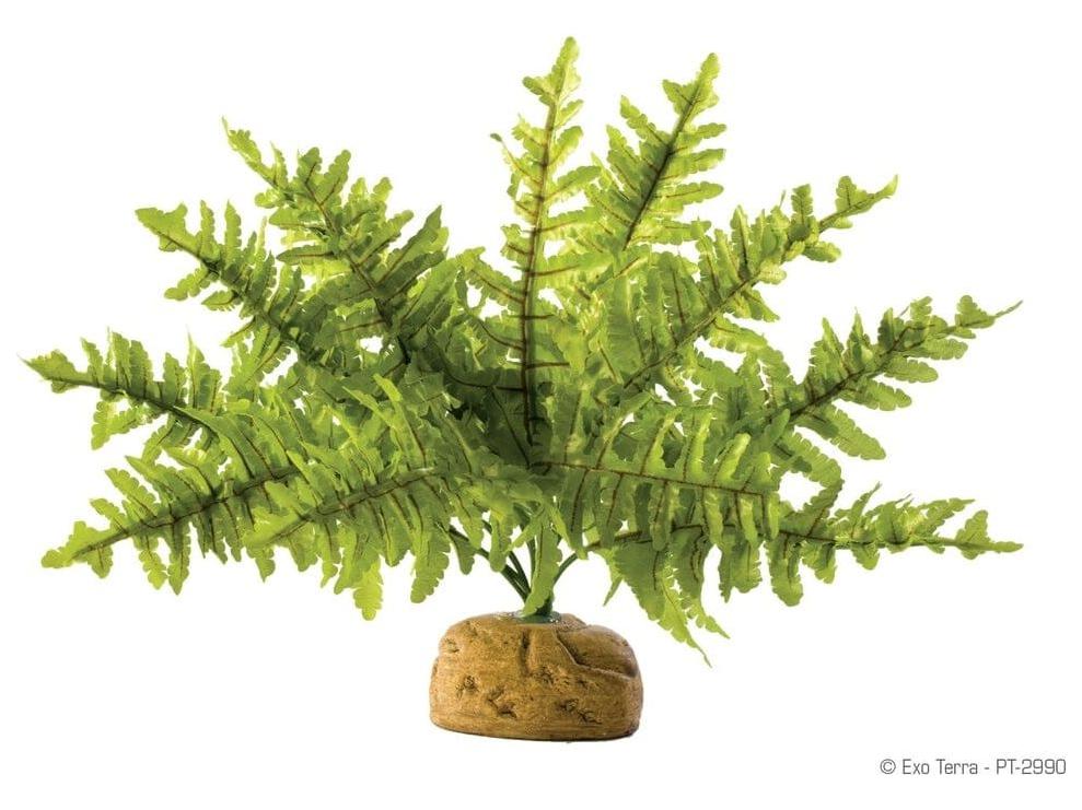 Exo Terra Boston Fern, Small Exo Terra