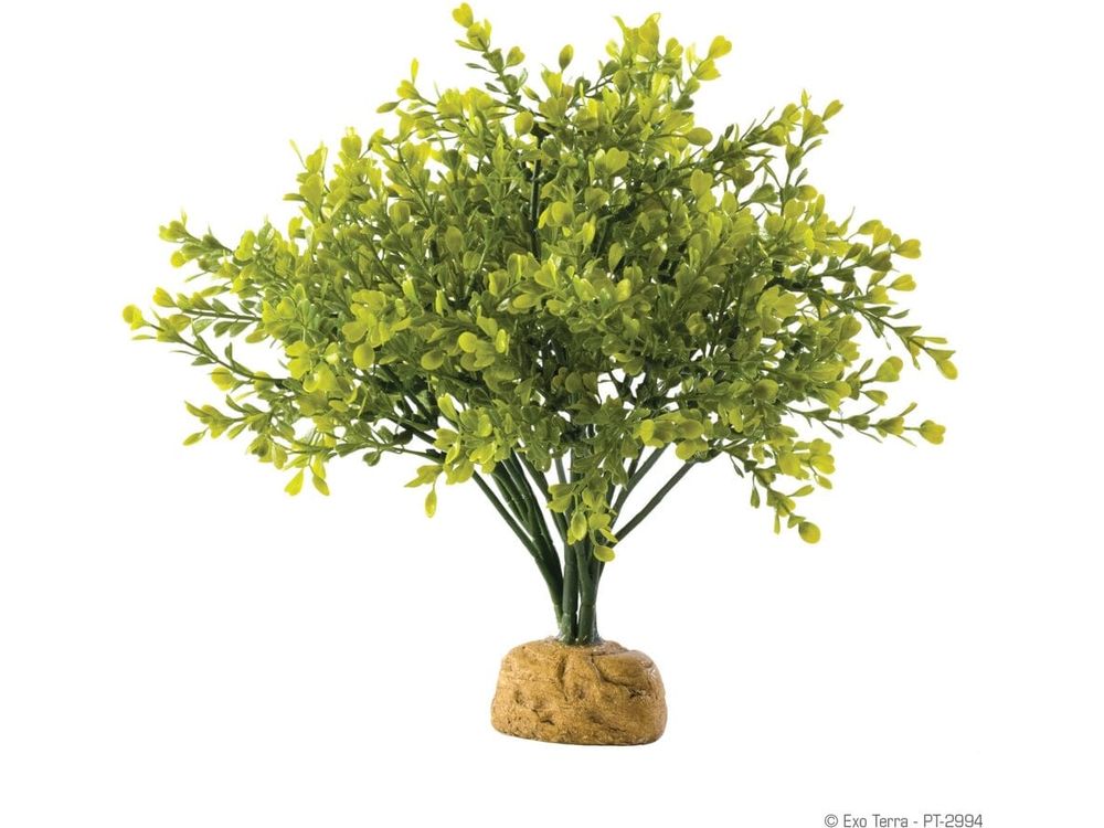 Exo Terra Boxwood Bush Exo Terra