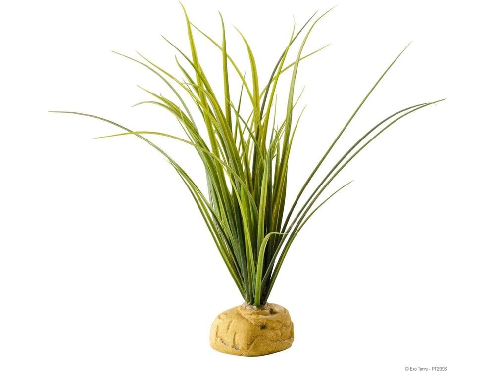 Exo Terra Turtle Grass Exo Terra