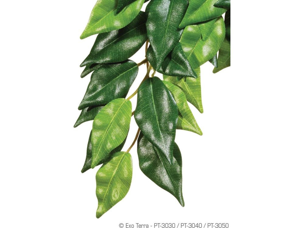 Exo Terra Ficus Silk Plant, Large Exo Terra
