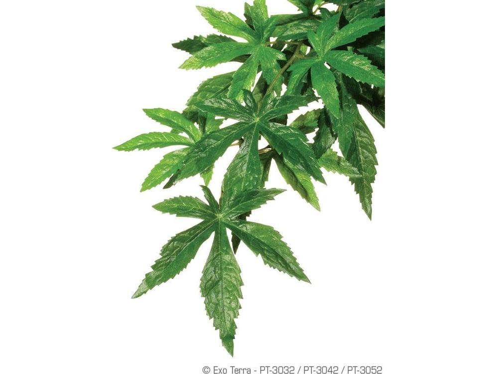 Exo Terra Abutilon, Small Exo Terra