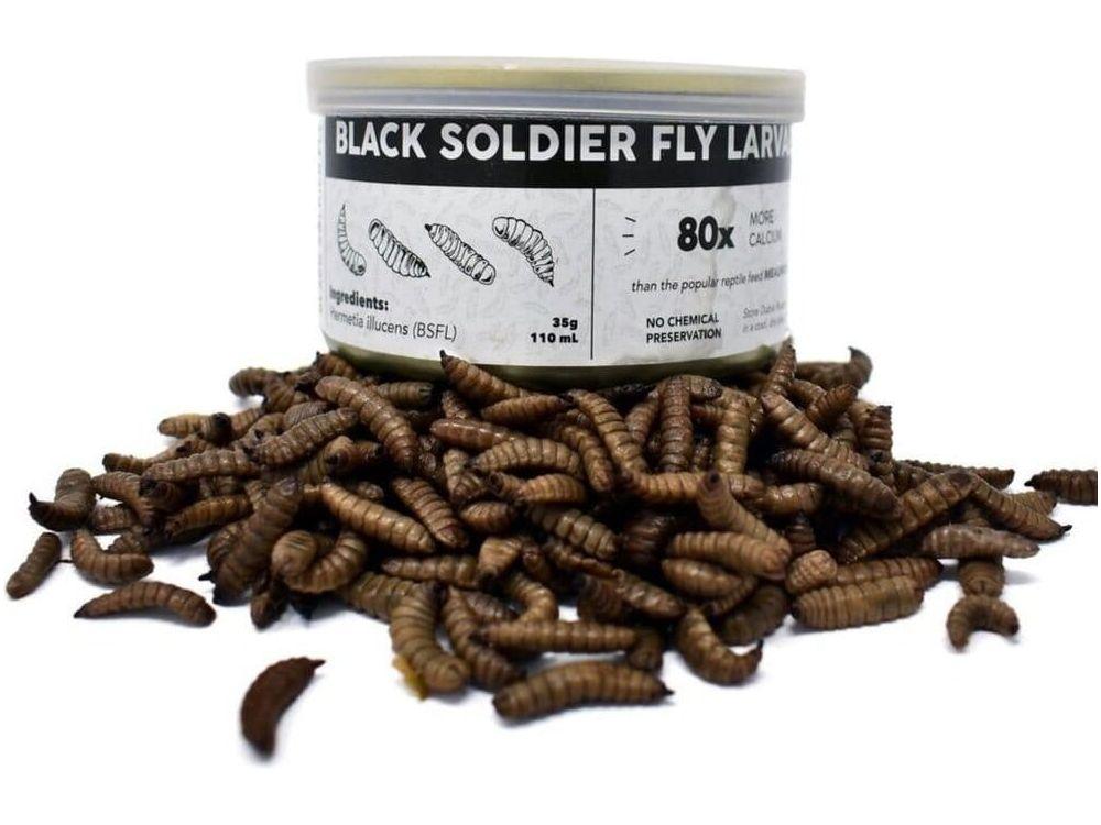 Canned Black Soldier Fly Larvae nutrigrubs DubiaRoaches.com