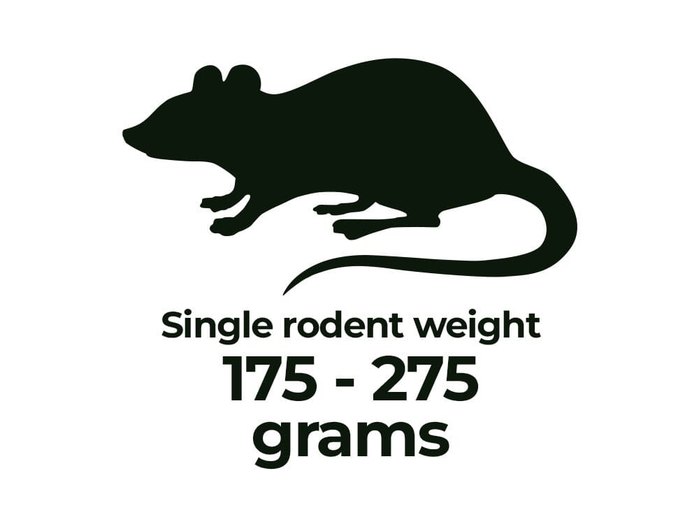 Rodents - Shipping Included