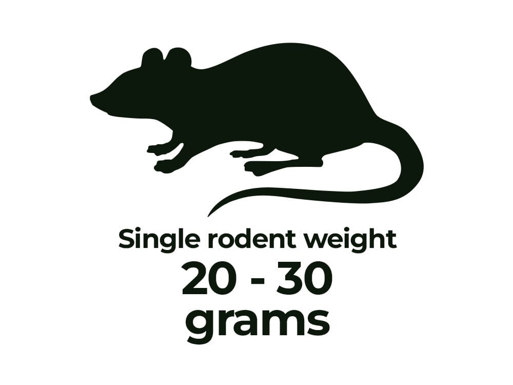 Rodents - Shipping Included