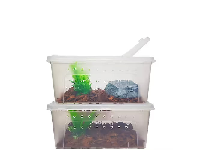 Herpcult Medium Breeding Box