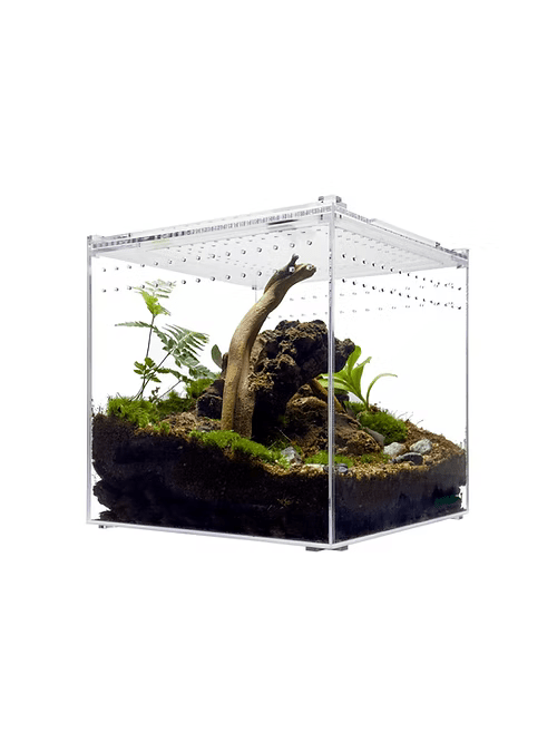 Herpcult Acrylic Enclosure Large 10"x10"x10"