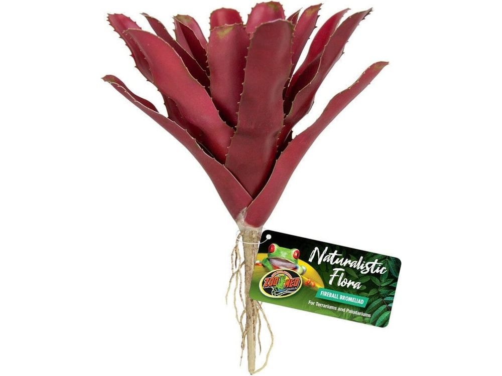 Zoo Med Naturalistic Flora Fireball Bromeliad Terrarium Plant Red, 1ea Animals & Pet Supplies > Pet Supplies > Fish Supplies Zoo Med