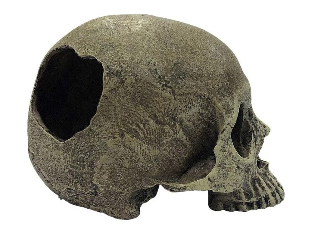 Komodo Half Human Skull Reptile Hideout Gray One Size Komodo