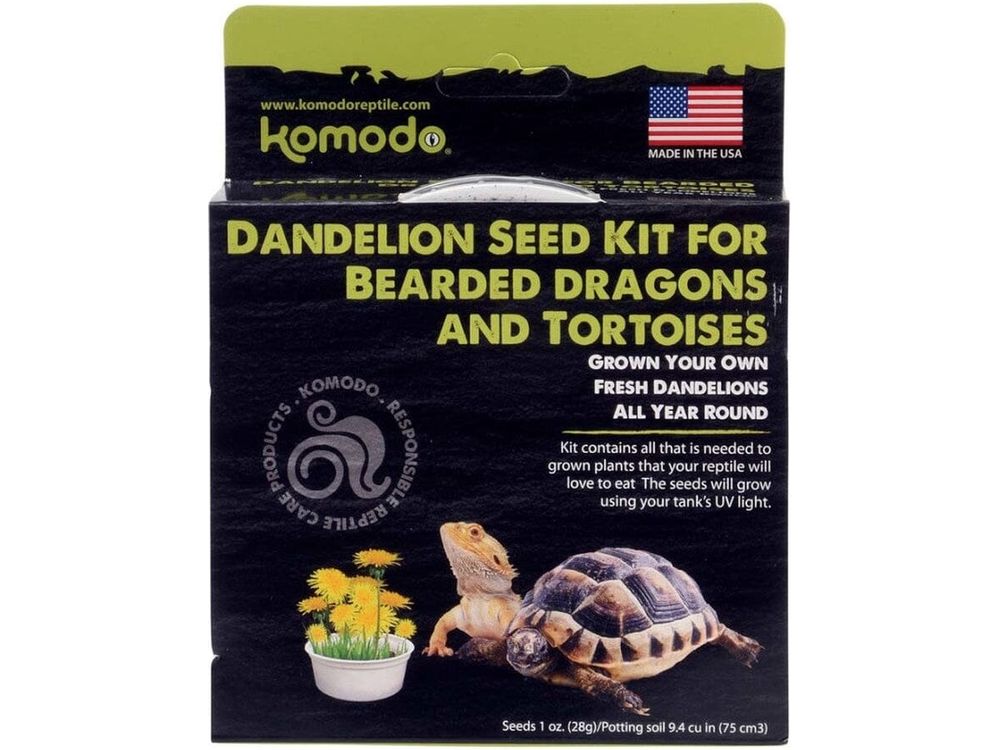Komodo Grow Your Own Dandelion Seed Kit for Bearded Dragon & Tortoise 6.5 in Komodo
