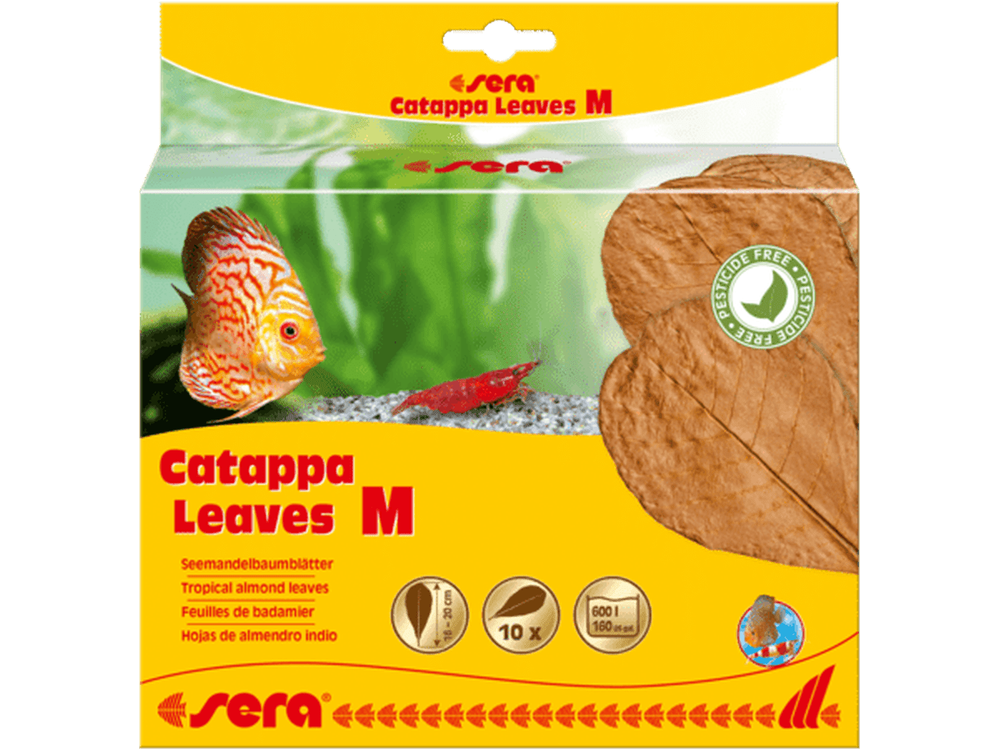 Sera Catappa Leaves, Medium Aquarium Additives Sera