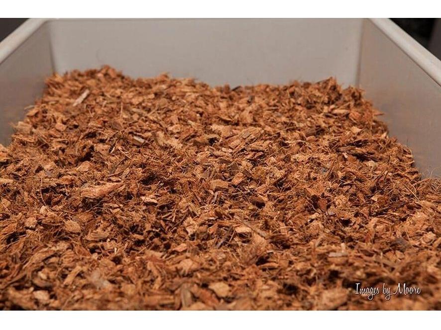 Premium Pet Beddingâ?¢ Bark supplies DubiaRoaches.com