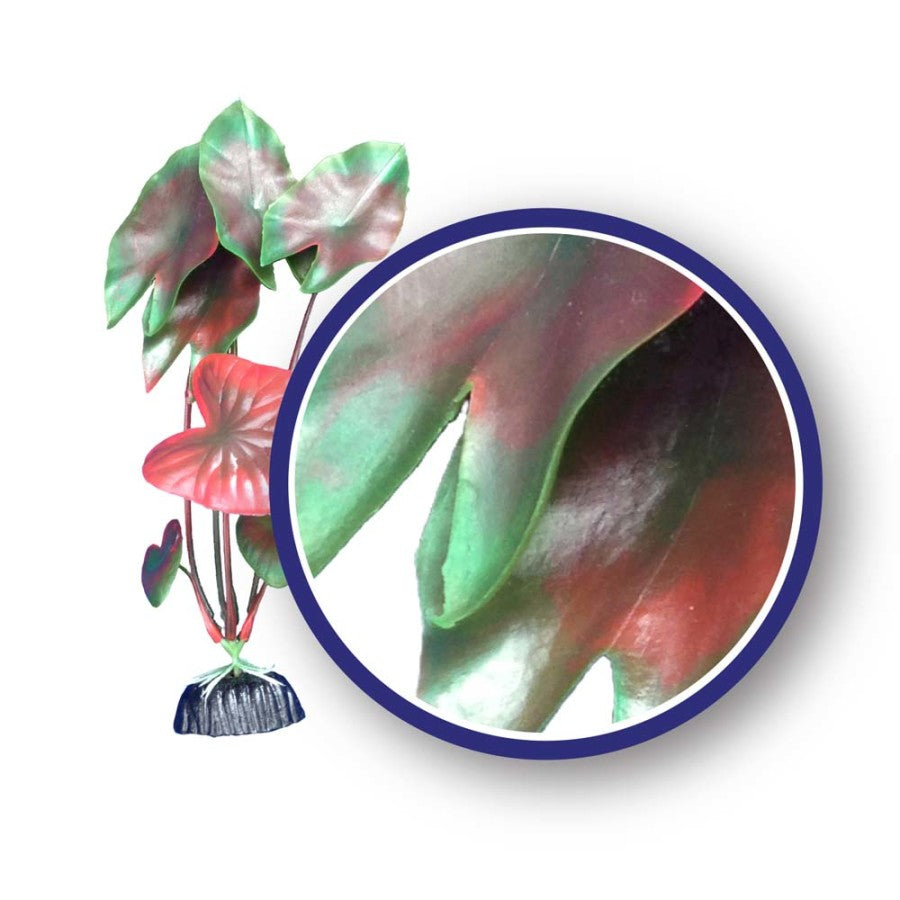 Weco Products Freshwater Series Tiger Lotus Aquarium Plant Red, 1ea/12 in