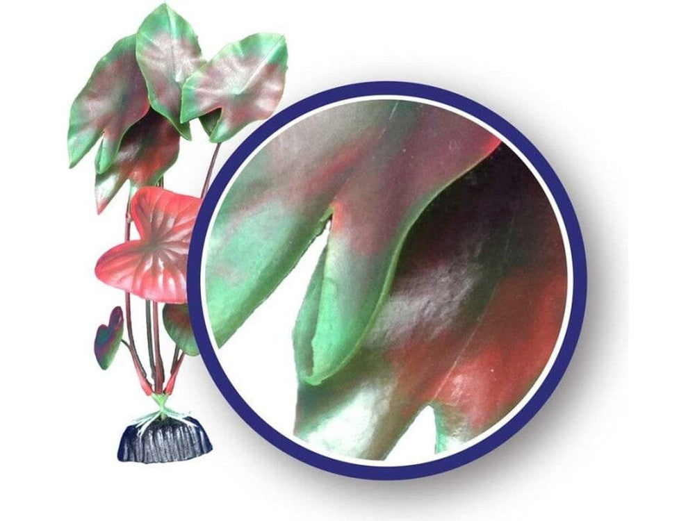 Weco Products Freshwater Series Tiger Lotus Aquarium Plant Red, 1ea/12 in